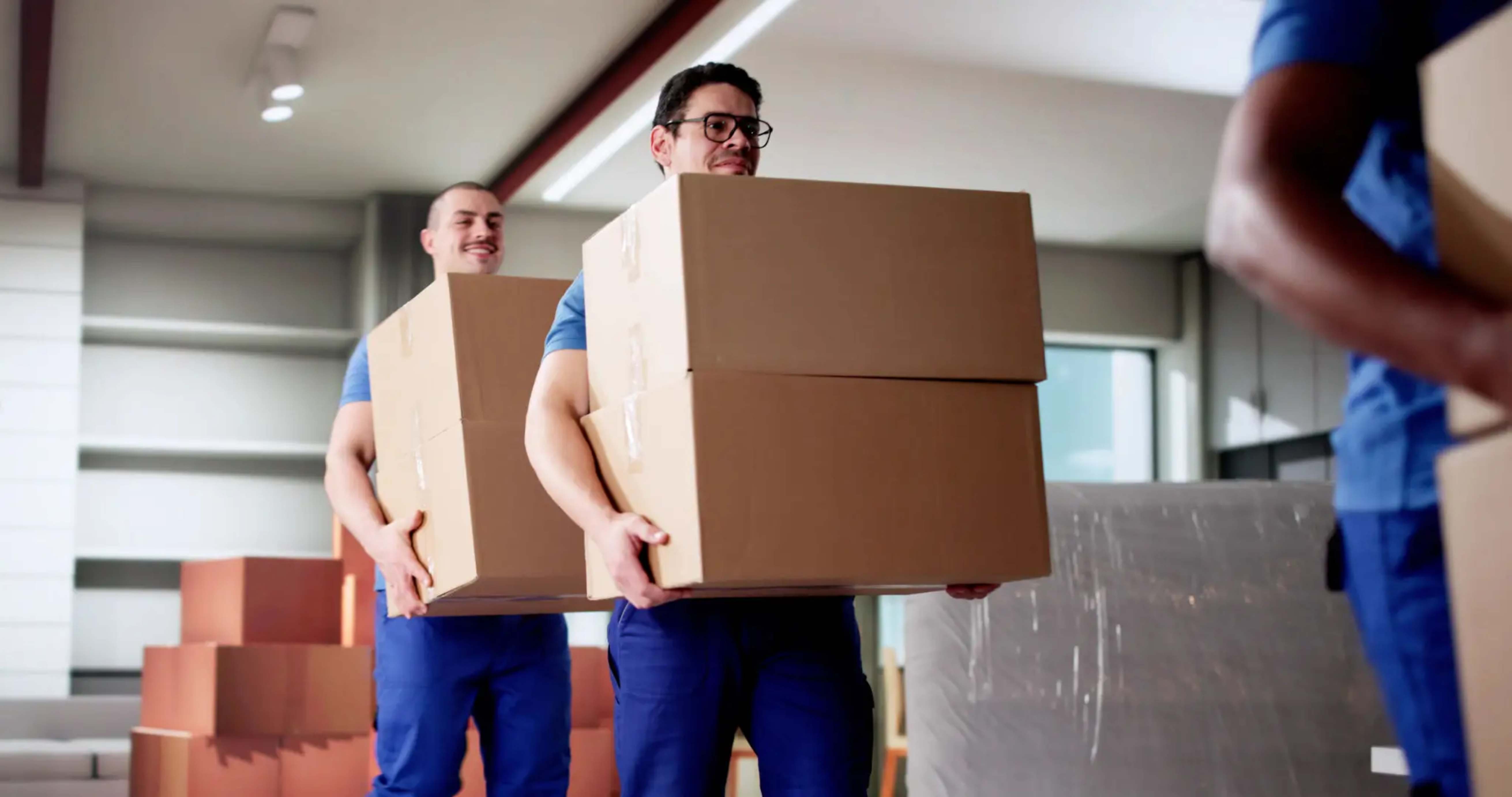 Professional moving team working together